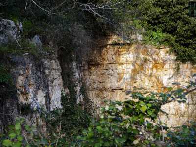 L�origine della cavit� � di tipo erosivo e si struttura su due fasce geologiche distinte: il calcare di Bari e la calcarenite di Gravina, i cui blocchi sono visibili in alcuni punti dove la fitta vegetazione lascia spazio alla roccia
